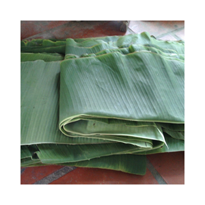 Fraîches et naturelles, les feuilles de bananier congelées du Vietnam sont 100% biodégradables et respectueuses de l'environnement - Product Image 3