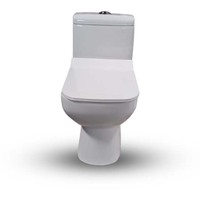 WC monobloc de qualité supérieure au design moderne 103 en céramique blanche, fixation murale ou au sol avec siphon P, double chasse d'eau