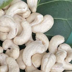 ซันติโกเวียดนามผลิตจากเม็ดมะม่วงหิมพานต์สามารถ W180คุณภาพเชิงพาณิชย์ส่งออกไปยังสหภาพยุโรปตะวันออกกลาง - Product Image 1