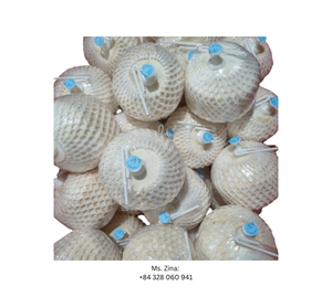 มะพร้าวสดจาก Ben Tre มะพร้าวทรงเพชรเปิดง่ายจากเวียดนาม - Product Image 5