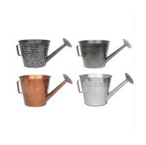 Arrosoir de style vintage pour plantes de jardin Pot d'arrosage en métal de qualité supérieure arrosoir d'irrigation outil de jardin essentiel - Product Image 3