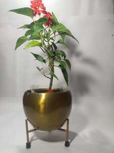 Modern Gold Metal Flower Pot Stand <b>Tall</b> Planter with Brass Stand for Home Decor Floor <b>Table</b> Decor Plant Holder Display Set - Product Image 6