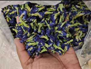 Flor de guisante azul para té y bebidas | OEM disponible - Product Image 5