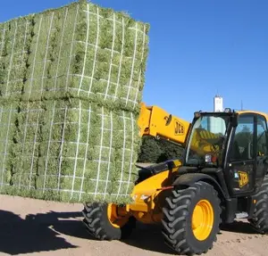 Alfalfa Hay in Mid-sized square bales****