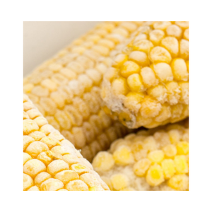 Maíz congelado a granel de Vietnam IQF, granos de maíz amarillo Premium, suministro de fábrica al por mayor - Product Image 1