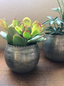 Ensemble de 3 jardinières rondes élégantes pour une utilisation en intérieur et en extérieur, parfaites pour la décoration de la maison, du jardin, du balcon ou du patio, de différentes tailles - Product Image 5