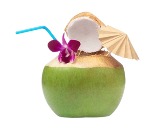 Jeune noix de <span class=keywords><strong>coco</strong></span> verte de qualité supérieure, fraîche et naturellement sucrée du Vietnam pour boissons rafraîchissantes et <span class=keywords><strong>bien</strong></span>-être - Product Image 3