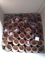 Pots de coco durables pour plantes biodégradables et écologiques