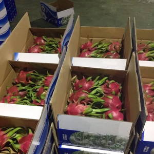 Fruits du dragon cultivés naturellement prêts pour l'exportation Doux et rafraîchissants Idéal pour les détaillants d'aliments de santé - Product Image 3
