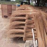 Vente en gros de bâton de balai de noix de coco au meilleur prix bâtons de feuille de palmier pour la fabrication de balais exportation du Vietnam