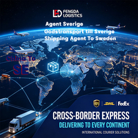 Servicio de Envío de Logística Express, Agente de Transporte DDP a Suecia, Agente de Aduanas del Aeropuerto de Lulea, Tránsito Rápido