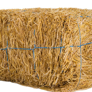 หญ้าชนิตแบบเม็ดหญ้าอัลฟัลฟ่าธรรมชาติสำหรับสุนัขปลาหมูม้าขายส่ง - Product Image 5