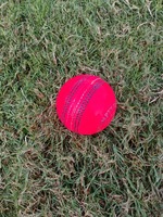 Pelotas de Cricket Personalizables de Cuero Genuino Rosa |   Estilo Kookaburra Australiano Cosido a Máquina y Duradero | Personalizado
