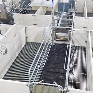 Equipo de cría de cerdos Parto de cerdos Diseño de 2 puertas Incluye tolva de alimentación y cartón Fabricante vietnamita Precio barato - Product Image 4