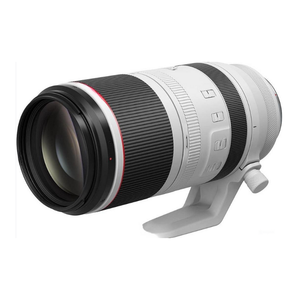 Objectif EF 70-200mm f/2.8L IS III USM pour appareils photo reflex numériques, blanc-3044C002 - Product Image 5