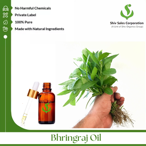 Extracto seco de Reetha de origen vegetal para uso en productos de belleza y cuidado personal en suministro a granel para empresas - Product Image 4