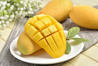 Gezonde Natuurlijke Snack Zacht Gedroogde Mango Uit Mekong Delta, Vietnam