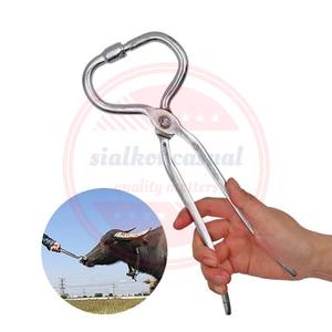 Pince à nez de taureau pince à nez Instruments vétérinaires Offre Spéciale porte-nez en acier inoxydable - Product Image 3