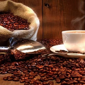 Café Molido Tostado Arábica de Especialidad de Vietnam, Grado G1/G2, Marca TNFOOD, Certificado ISO 22000, Directo de Fábrica en Lam Dong, Vietnam - Product Image 1