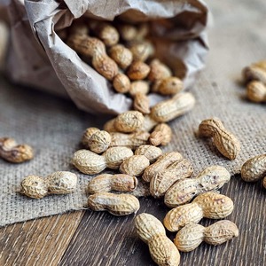 Cacahuetes sin cáscara recién empaquetados entregados a granel asegurando cacahuetes sin cáscara naturales y sabrosos para suministro internacional - Product Image 1