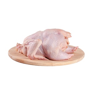 Pollo Entero Congelado Halal de Primera Calidad, Precio al por Mayor, Suministro de Fábrica |   Pollo Congelado Entero y en Piezas Disponible para la Venta - Product Image 2