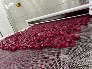 Casse-croûte organique de haute qualité de fruit du dragon séché mou à mâcher pour des acheteurs en gros - Product Image 3