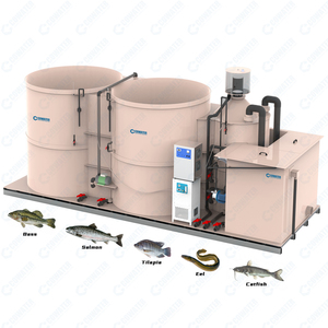 קווטר 60 m3/h קומפקטי ras מערכת עבור דגים מקורה מסנן ביו-מסנן uv tilapia שרימפס סלמון - Product Image 1