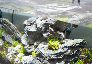 ไฟ LED สำหรับตู้ปลารุ่น Finesse 10W กันน้ำระดับต้นซูซานู11000K CCT ไฟตู้ปลามีต้นทุนและฐาน E26ที่เหมาะสม - Product Image 4