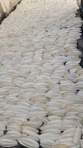 Os de seiche sec de haute qualité os de seiche 100% os de seiche naturel du Vietnam - Product Image 6