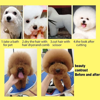 Ensemble de ciseaux incurvés pour chiens en acier inoxydable Tondeuse pour animaux de compagnie Ciseaux droits Kit de ciseaux de toilettage professionnels