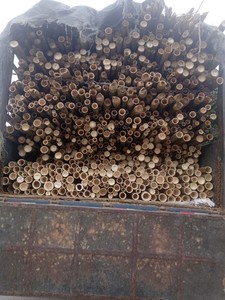 Demi-tubes en bambou naturel polyvalent de haute qualité pour le jardinage et l'agriculture au meilleur prix-LOTUS BLEU du Vietnam - Product Image 6