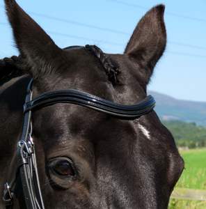 Bride de nez flash anatomique Bride de tête Bride de nez BREVET Bride de cheval en cuir véritable de haute qualité Vente en gros personnalisée - Product Image 3