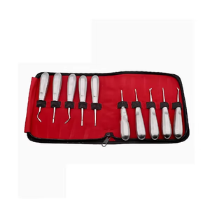 ชุดเครื่องมือถอนฟันแบบโค้ง 10 ชิ้น ยี่ห้อ REGENSIS SURGICAL ทำจากสแตนเลสสตีล สำหรับยกโคนฟัน ได้รับมาตรฐาน CE - Product Image 2