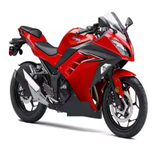 Motocicleta Todoterreno de Invierno de 150cc, 300 ABS, Cuatro Tiempos, Certificación EEC, Eléctrica, Usada, para Adultos, TOP 2024, Venta al Por Mayor - Product Image 2