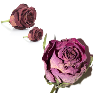Brotes de rosas rojas secas fragantes | Para Baño de hierbas y bienestar - Product Image 1