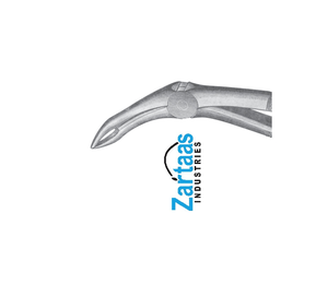 คีมสกัดสแตนเลสรูปที่43จากผู้ส่งออกและผู้ผลิต - Product Image 4