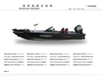 W598L Full Aluminium Bass Boat compatible avec Kimple Aluminum Boat