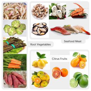 Machine à laver fruits du dragon légumes secs Machine de nettoyage automatique des dattes à la brosse en vente - Product Image 6