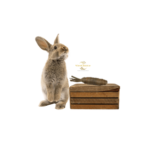 Meilleur choix Jouets à mâcher en jacinthe d'eau et carotte faits à la main pour petits animaux - Product Image 5