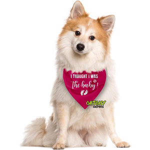 100% coton personnalisé Double couche imprimé chien Bandana écharpe et chouchou ensemble assorti - Product Image 2