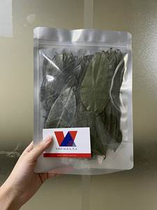 Feuilles de corossol séchées de qualité supérieure // Prix le plus compétitif pour l'exportation de feuilles de graviola séchées vietnamiennes // Mme Beatrix - Product Image 3