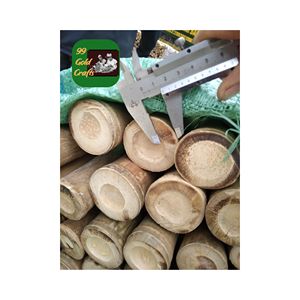 MATÉRIAU NATUREL ÉCOLOGIQUE DE HAUTE QUALITÉ EN BAMBOU DU VIETNAM POUR BÂTIR LE JARDIN ET LA DÉCORATION INTÉRIEURE - Product Image 3