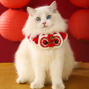 Bufanda de Ganchillo Creativa Personalizada para Año Nuevo y Navidad, Accesorio de Moda para Todas las Estaciones para Amantes de Mascotas - Product Image 1