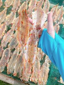 Exportador de Pescado Lagarto Seco Premium en Forma de Mariposa, Pescado Lagarto Seco en Forma de Mariposa, 200 gramos, Vietnam ANGLE - Product Image 3