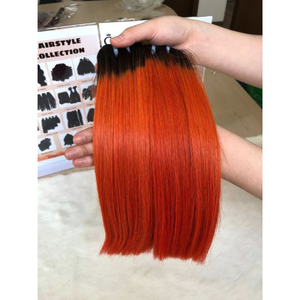 Vente en gros Extensions de cheveux humains Remy bicolores non transformés Cheveux vietnamiens droits naturels Tendance 100% Paquets authentiques - Product Image 3