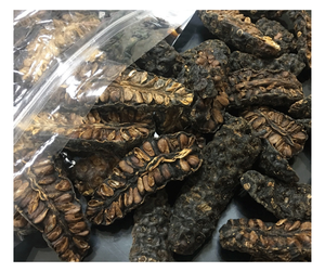 Fruit de noni séché à haute puissance-Vietnam Morinda Citrifolia, tranches d'herbes séchées en gros Noni prêt pour l'exportation à faible coût - Product Image 2