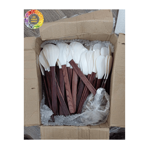 Cucharas de concha de nácar de calidad superior: cuchara de caviar asequible y lujosa, regalo único y significativo de Vietnam - Product Image 1