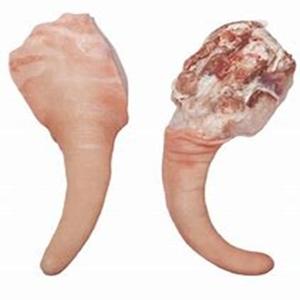 Cola de cerdo congelada orgánica a granel Embalaje de caja de proceso IQF-¡Envío gratis! Incluye estómago cabeza carcasa grasa oreja partes - Product Image 2