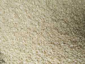 Hulled Sesame <b>Seeds</b> Natural Source of Protein and Fiber for Cooking, Baking, and Snack Recipes - Product Image 6