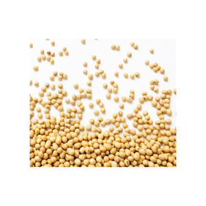 Soja en vrac séché biologique de haute qualité avec OGM et soja sans OGM à vendre - Product Image 2